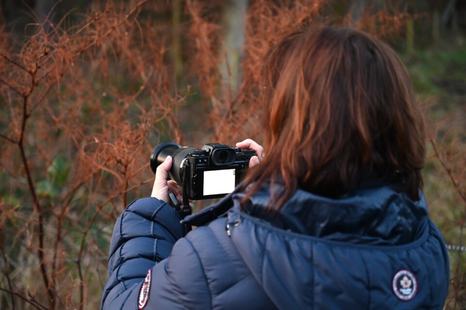 Fotografie
