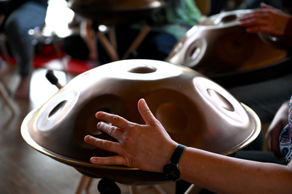 Handpan Basic
