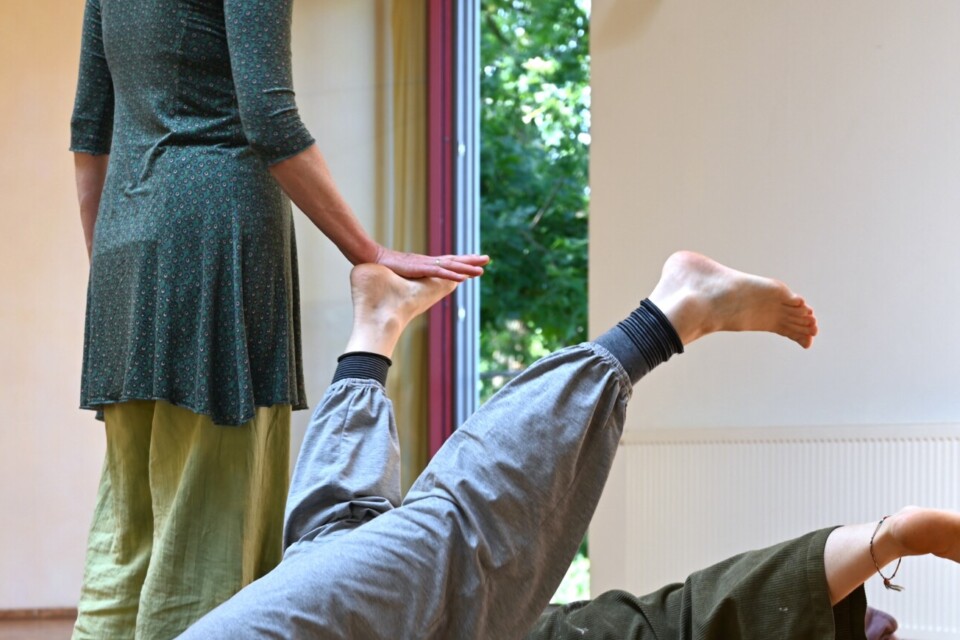 Body-Mind Centering® Bewegung und Berührung im Dialog