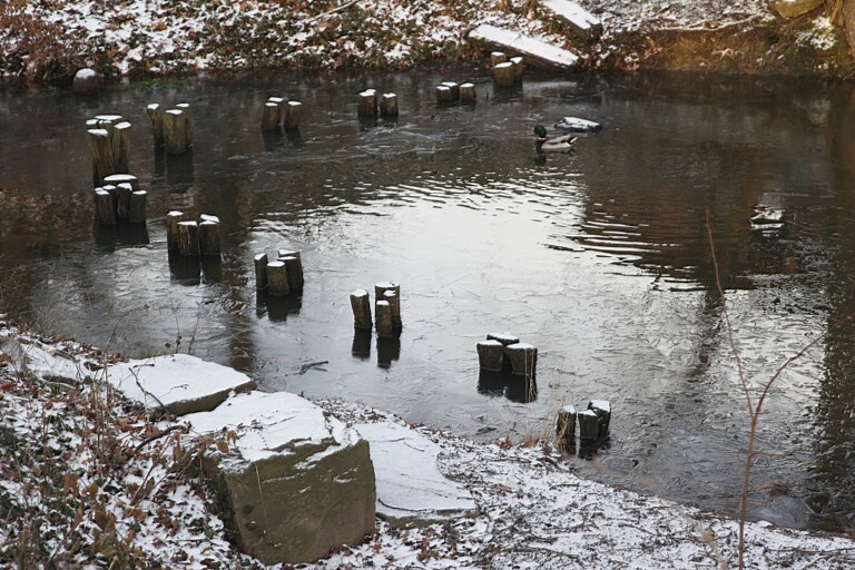 Der Teich im WInter am Johannishof Ort der Winterwerkstatt Alfter bei Bonn