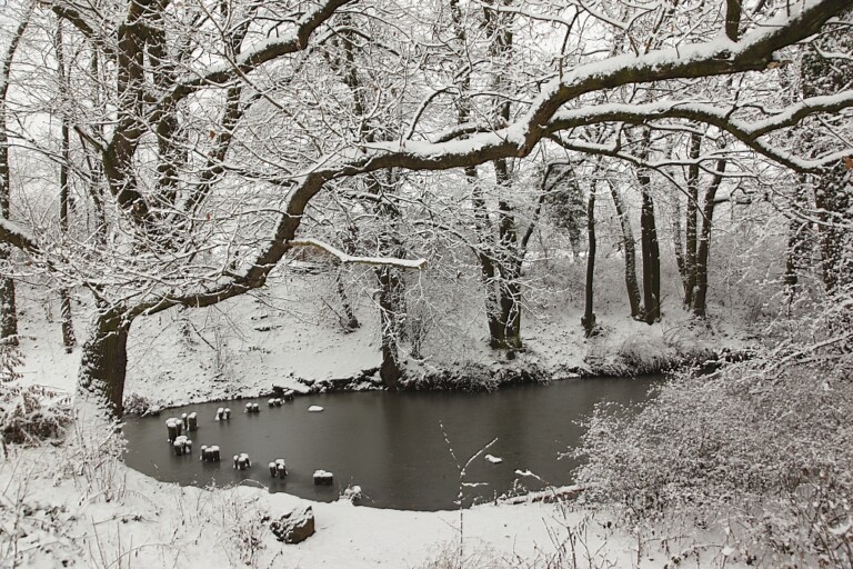Johannishof Ort der Winterwerkstatt Alfter bei Bonn im Schnee