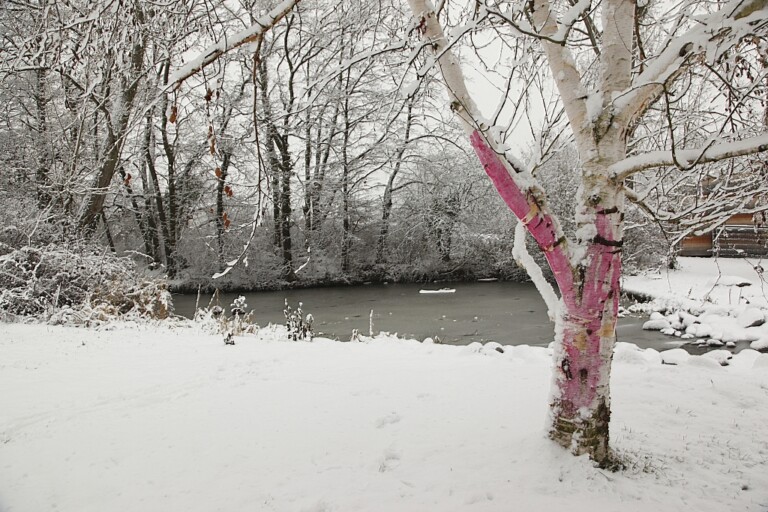 Johannishof Ort der Winterwerkstatt Alfter bei Bonn im Winter